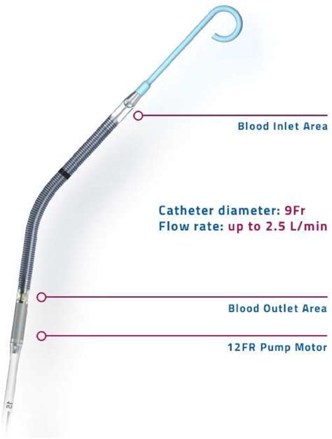 morphology of Impella management